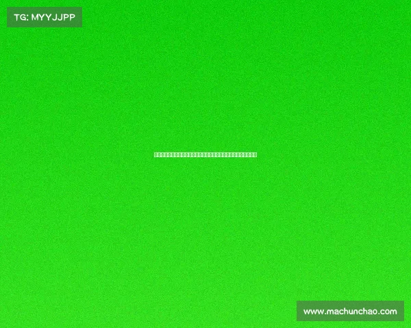 网球比赛中球童安排与管理的最佳实践及其对比赛流畅度的影响分析